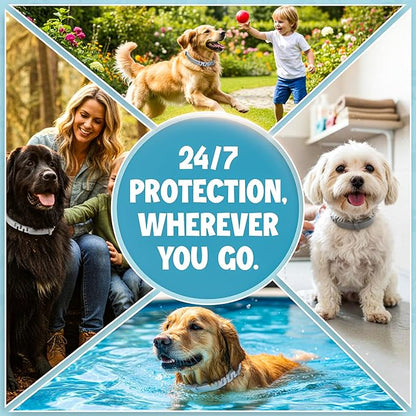 Dog Flea and Tick Collar 8-Month Protection All Natural Flea Collar for Dogs & Puppies with Flea Comb, Shell Comb, Tick Tweezers & Tick Removal Tool | 5-in-1 Dog Flea Collar & Protection Kit