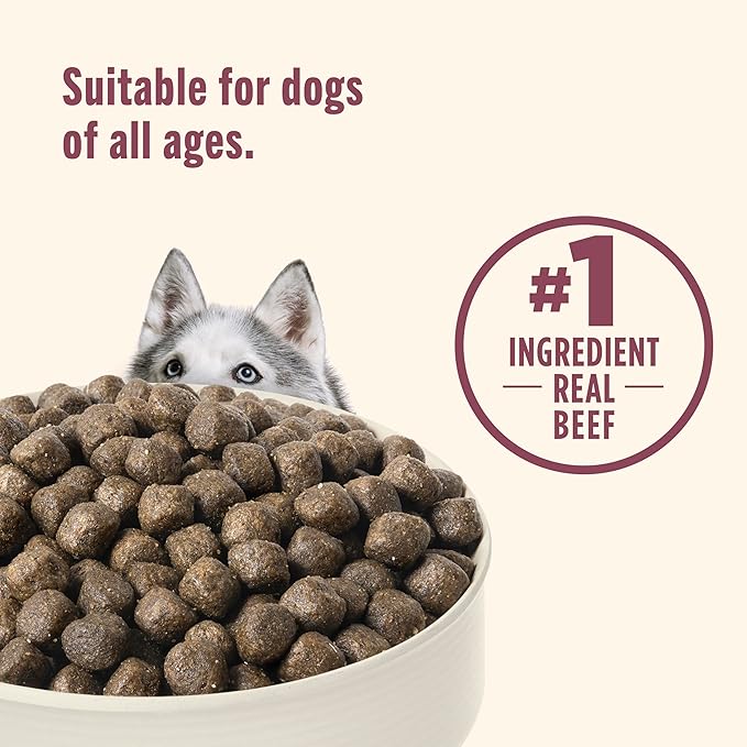 Rachael Ray Nutrish PEAK Natural Dry Dog Food, Open Prairie Recipe with Beef, Venison & Lamb, 12 Pounds, Grain Free (Packaging May Vary)