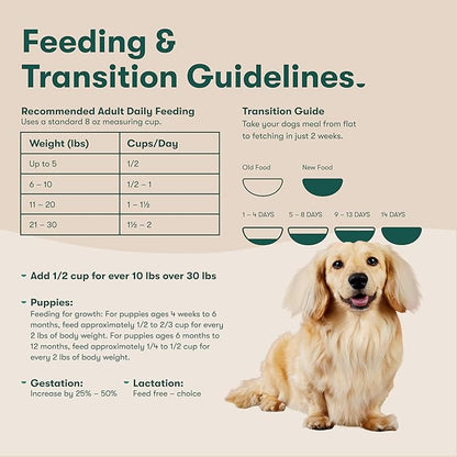 Jinx Premium Grain-Free Dry Dog Food, for All Lifestages - Real Salmon, Sweet Potato & Carrot Puppy Kibble with Superfoods for Immune Support & Probiotics for Digestive Support - No Fillers - 4lb