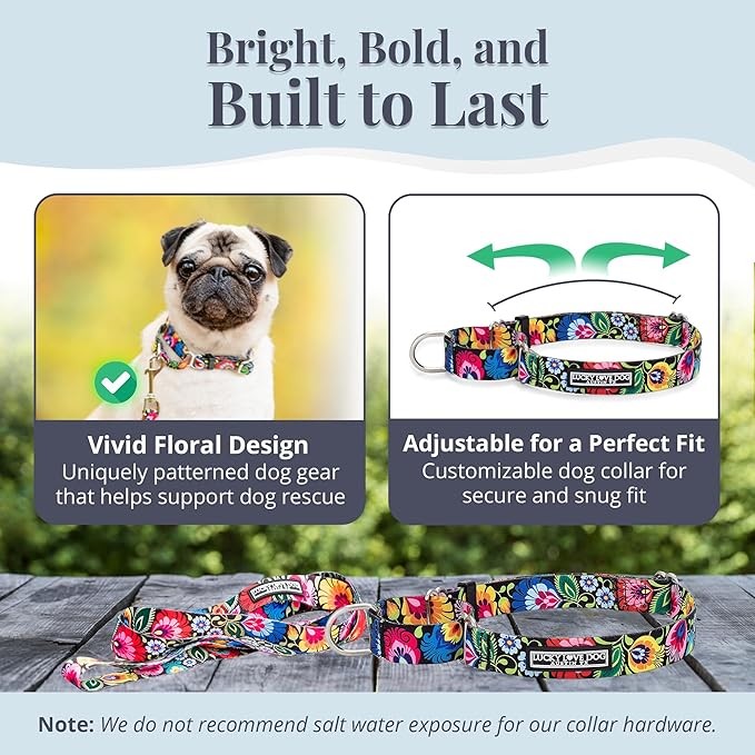 Lucky Love Dog Martingale Collar and Leash Set, Premium No Slip Collar and Leash Set, Great for Whippets, Greyhounds, and More (Blackbird, Small - Combo)