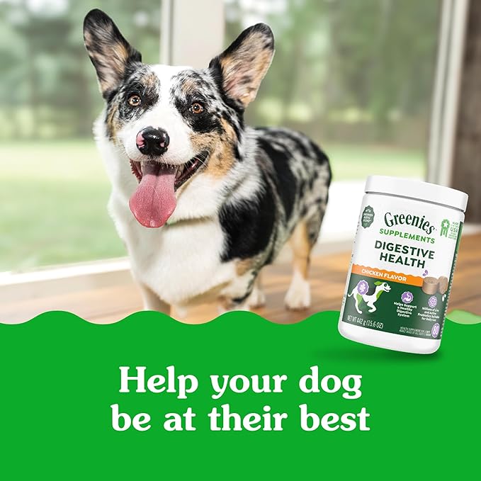 Greenies Supplements Digestive Health Probiotics for Dogs, Dog Probiotic Supplements, Chicken Flavor, 15.6 oz. Pouch of 80 Count