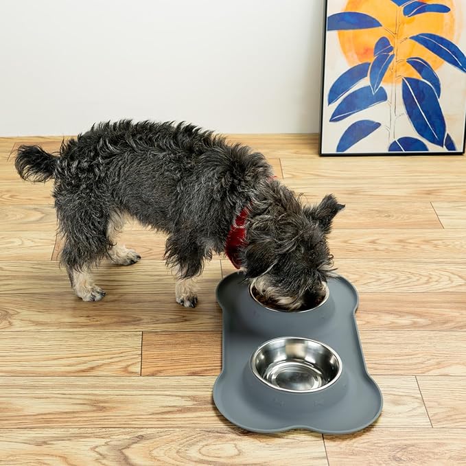 Conlun Stainless Steel Dog Bowls with Non-Slip Silicone Mat, Spill Proof Food & Water Bowls Set, Easy Clean Puppy Food Dish, Dishwasher Safe, Suitable for Dogs Cats Pet Under 20lbs, Small, Grey