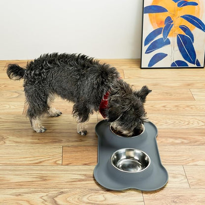 Conlun Stainless Steel Dog Bowls with Non-Slip Silicone Mat, Spill Proof Food & Water Bowls Set, Easy Clean Puppy Food Dish, Dishwasher Safe, Suitable for Dogs Cats Pet Under 20lbs, Small, Grey