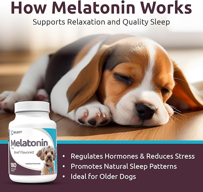 K9 Select Melatonin for Dogs - Calming Chews - Dog Melatonin for Sleep - Reduce Stress, Helps Overall Health Composure Calming Treats for Small Dogs - 1 mg, 180 Beef Flavored Chewable Tablets