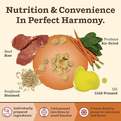 Primal Kibble in The Raw, Freeze Dried Dog Food, Beef, Scoop & Serve, Made with Raw Protein, Whole Ingredient Nutrition, Crafted in The USA, Dry Dog Food 9 lb Bag