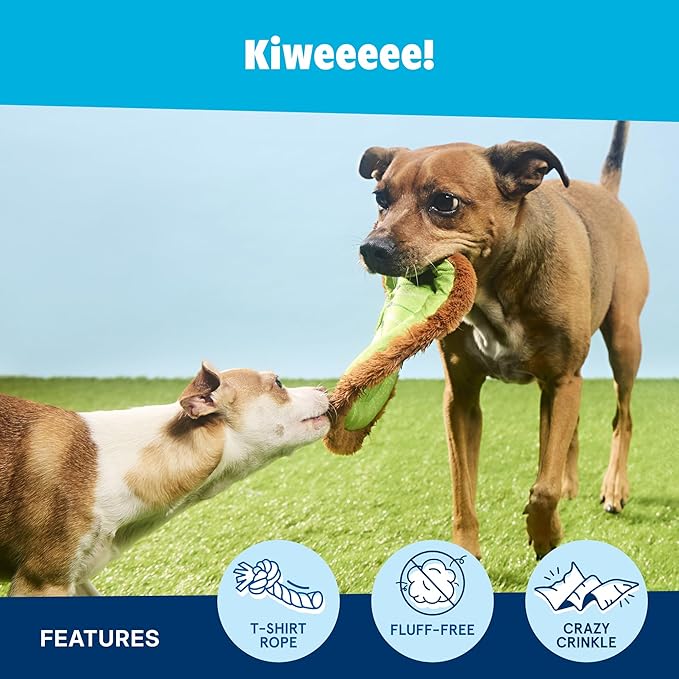 Barkbox Kiweeeee! Flying Disc Dog Toy | Fluff-Free Crinkle Disc with T-Shirt Rope Edge | Durable Fetch Toy for Dogs & Puppies Who Love to Toss & Chase