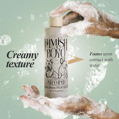 Hamish & Boyo Oatmeal Dog Shampoo for Itchy Skin & Allergies – Anti-Itch Relief with Oatmeal, Aloe & Chamomile – Gentle Formula for Sensitive Dogs – Made in USA – Sulfate & Paraben Free – Family Owned