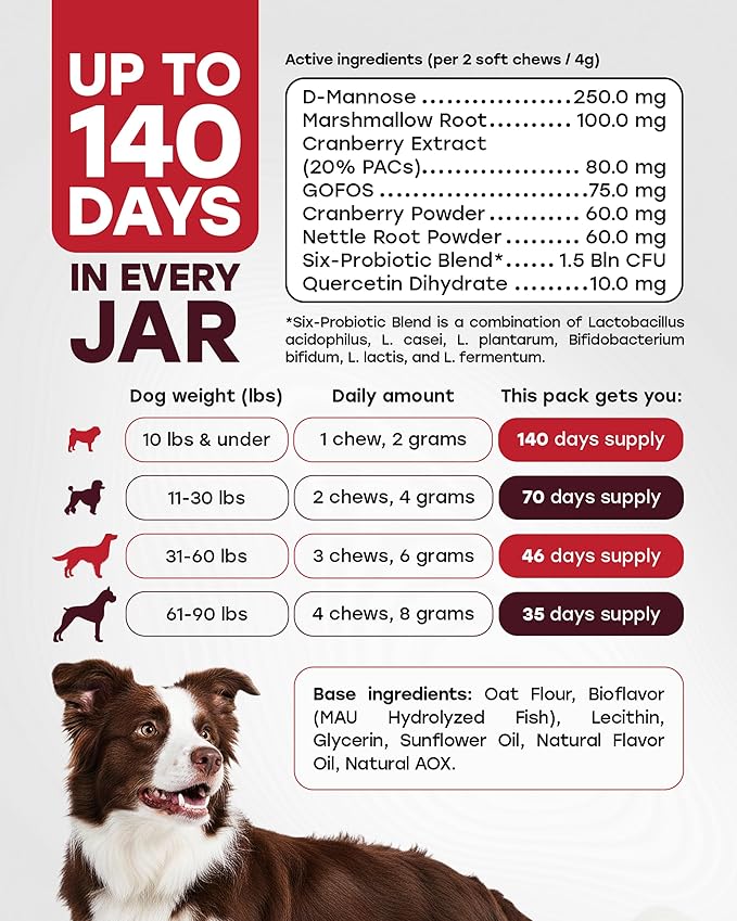 Dog UTI Chews – Cranberry Supplement for Dogs – Urinary Tract Support & Bladder Control – Cranberry PAC + D-Mannose, Marshmallow Root, Quercetin + Probiotics – 140 Chews