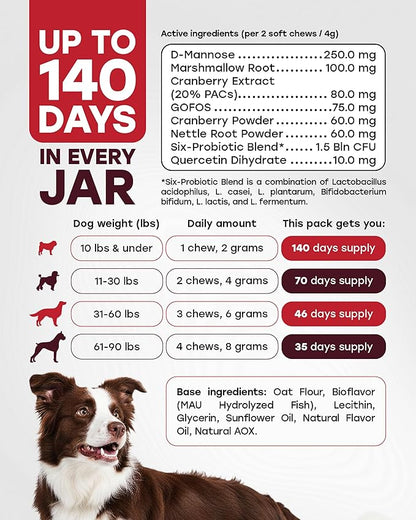 Dog UTI Chews – Cranberry Supplement for Dogs – Urinary Tract Support & Bladder Control – Cranberry PAC + D-Mannose, Marshmallow Root, Quercetin + Probiotics – 140 Chews