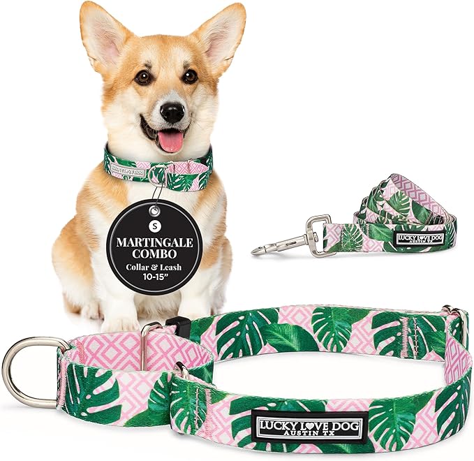 Lucky Love Dog Martingale Dog Collar & Leash - Adjustable, No-Slip, Durable, Comfortable, Soft Webbing, & Stylish Patterned Collar & Leash Set for Male and Female Dogs - Laguna Mart Combo, Small