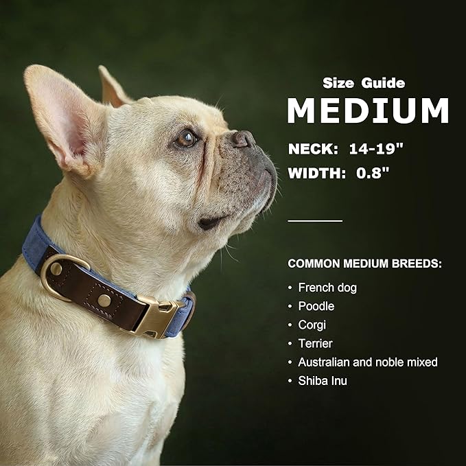 Didog Soft PU Leather Dog Collars for Medium Dogs,Classic Adjustable Dog Collars with Quick Release Metal Buckle,Easy Clean and Comfortable with Nylon Lining,Blue,M Neck 14-19"