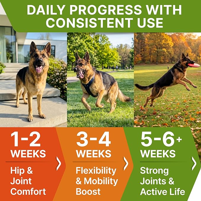 Senior Advanced Glucosamine Chondroitin Joint Supplement for Dogs - Hip & Joint Pain Relief Pills - Large & Small Breed - Hip Joint Chews Canine Joint Health - Chews Older Dogs - Bacon Flavor-120Ct