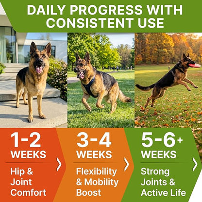 Senior Advanced Glucosamine Chondroitin Joint Supplement for Dogs - Hip & Joint Pain Relief Pills - Large & Small Breed - Hip Joint Chews Canine Joint Health - Chews Older Dogs - Bacon Flavor-120Ct