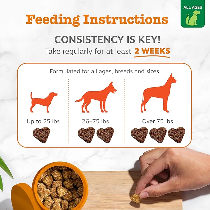 Zesty Paws Hemp Allergy Immune Bites - Dog Allergy Chews, Dog Probiotics for Itchy Skin and Ears, Cheese, 90ct
