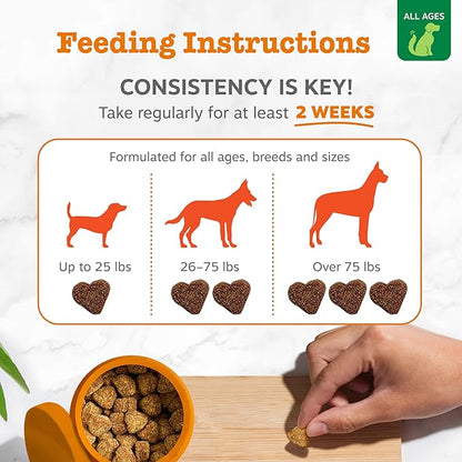Zesty Paws Hemp Allergy Immune Bites - Dog Allergy Chews, Dog Probiotics for Itchy Skin and Ears, Cheese, 90ct