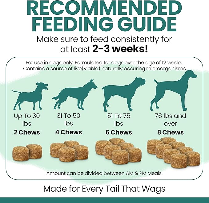 12-in-1 Dog Multivitamin Soft Chews, 120 Count - Vitamins & Supplements, Glucosamine Chondroitin, Probiotics, Omega 3 - Hip & Joint, Skin & Coat, Immune Support for Puppy & Senior Dogs - Chew + Heal