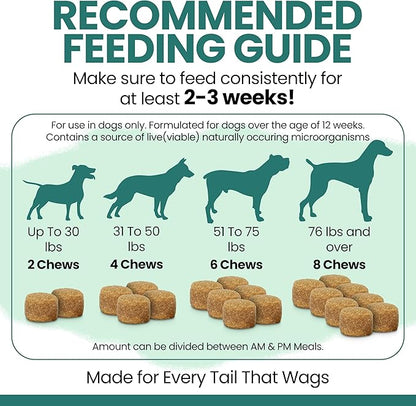12-in-1 Dog Multivitamin Soft Chews, 120 Count - Vitamins & Supplements, Glucosamine Chondroitin, Probiotics, Omega 3 - Hip & Joint, Skin & Coat, Immune Support for Puppy & Senior Dogs - Chew + Heal