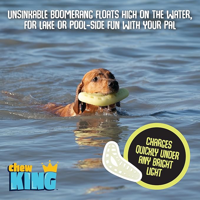 Chew King by Mammoth Large Glow Boomerang