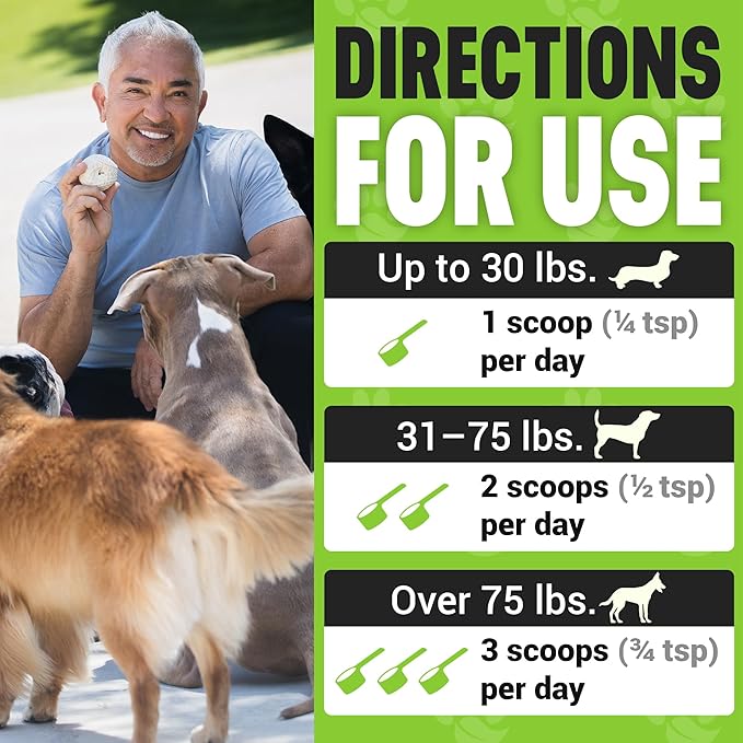 Better Dog Supplements Allergy Balance by Cesar Millan – Natural Allergy Support Powder for Dogs – Seasonal Allergies, Itching & Occasional Allergy Relief with Herbal Ingredients – 4oz (60-Day Supply)