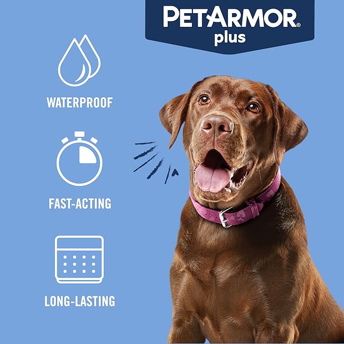 PetArmor Plus Flea and Tick Prevention for Dogs, Large Dog Flea and Tick Treatment, 1 Dose, Waterproof Topical, Fast Acting (45-88 lbs)
