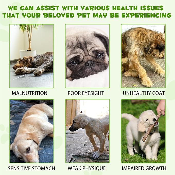 Oimmal Probiotics for Dogs, 3 in 1 Dog Probiotic and Digestive Enzymes for Pet, Supports Gut Health, Itchy Skin, Allergies, Immunity, Liquid Probiotics for for All Ages and Breeds Dogs, blue
