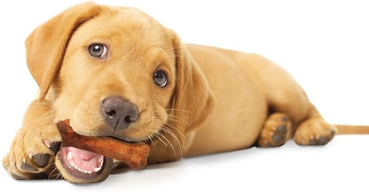 Nylabone Healthy Edibles Natural Puppy Chews Long Lasting Treats for Puppies, Turkey & Sweet Potato Flavor, Small/Regular (3 Count)
