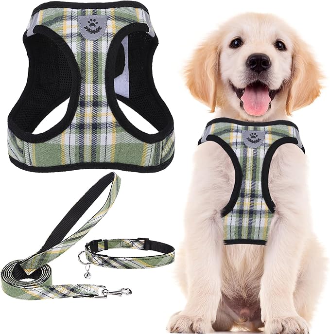 PUPTECK Adjustable Dog Harness Collar and Leash Set Step in No Pull Pet Harness for Small Medium Dogs Puppy and Cats Outdoor Walking Running, Soft Mesh Padded Reflective Vest Harnesses, Grn&YLW, L