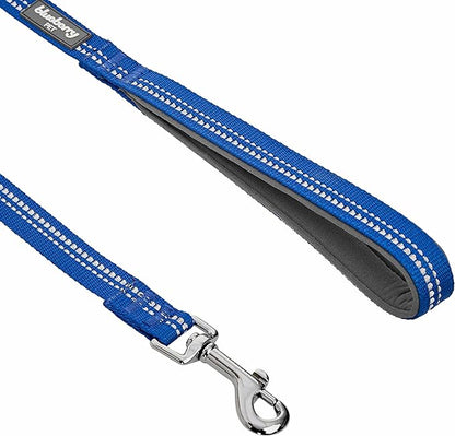 Blueberry Pet 3M Reflective Pastel Color Dog Leash with Soft & Comfortable Handle, 5 ft x 5/8", Navy, Small, Leashes for Dogs