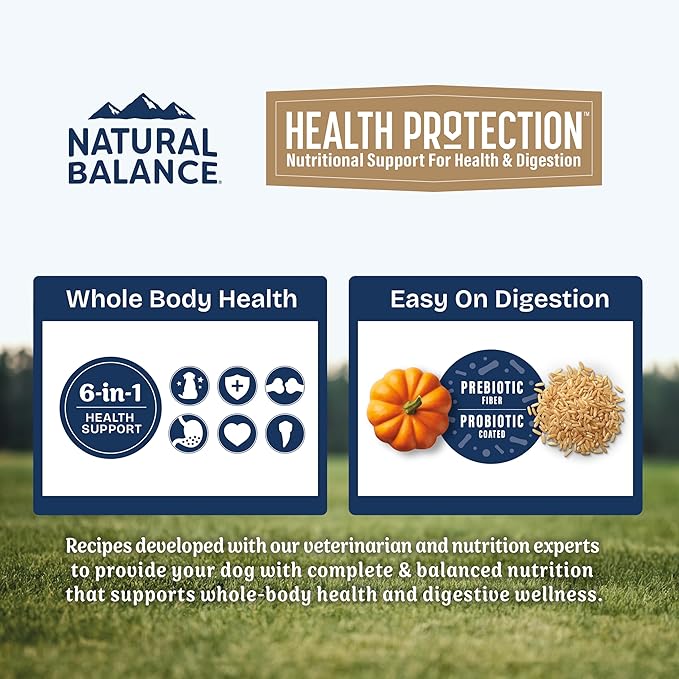 Natural Balance Health Protection Dry Dog Food – Whole Body Health, Easy on Digestion Dog Food Made with Chicken, Brown Rice & Pumpkin for Dogs - 24lbs.
