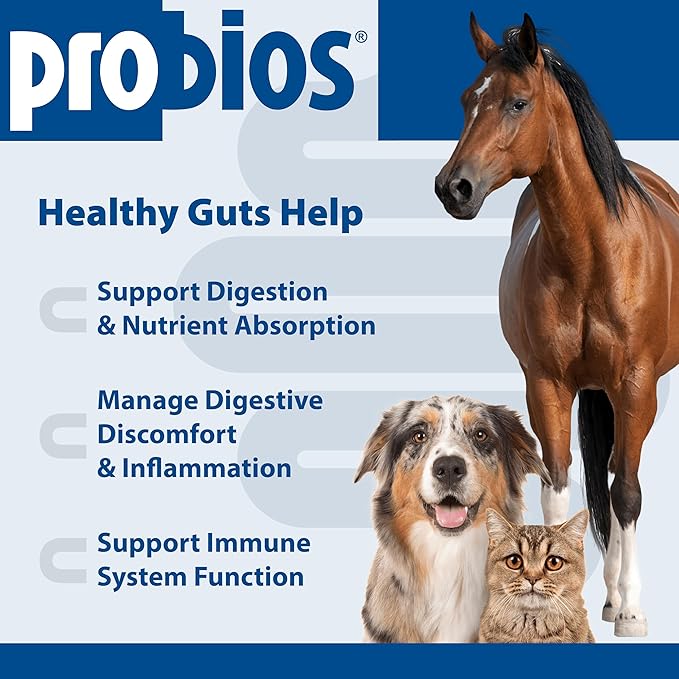 Probios Digestive Support Probiotic for All Species, Probiotics for Gut Health, Dispersible Powder, 240 gm (Pack of 2)