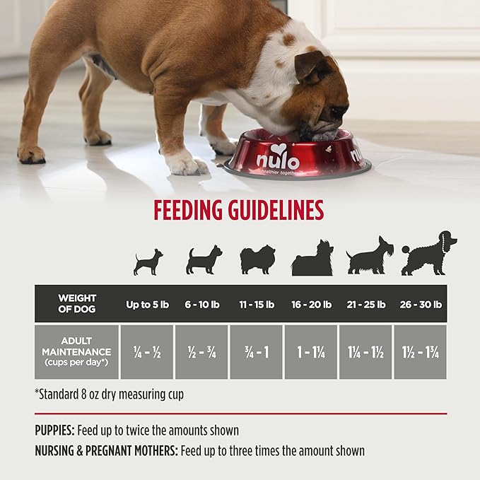 Nulo Frontrunner Dry Dog Food Small Breed - High-Protein Turkey, Whitefish & Quinoa Recipe, Natural Puppy & Adult Dog Food, Small Sized Kibble with Probiotics, Taurine, Omega 3, 14lb Bag