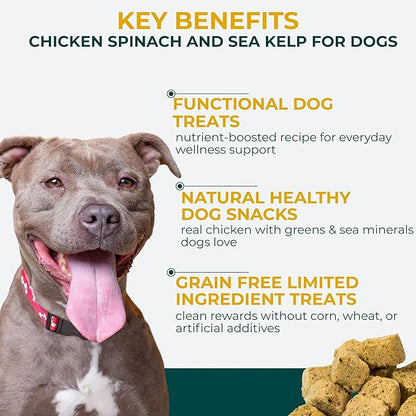 Momentum Carnivore Nutrition Freeze-Dried Chicken, Spinach & Sea Kelp Dog Treats & Cat Treats – Single-Ingredient Recipe, High-Protein, Grain-Free, Natural Superfood Blend – Made in USA – 3 oz Bag