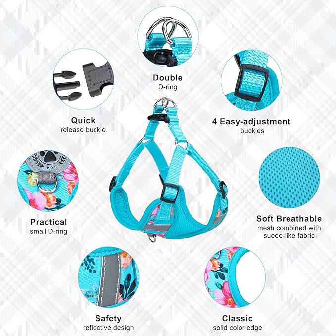 BEAUTYZOO Step in Dog Harness Collar and Leash Set for Small Medium Large Dogs, No Pull No Choke Puppy Harness, Soft Mesh Reflective Pet Padded Vest Adjustable for Doggie Girl or Boy,Chihuahua,Yorkie