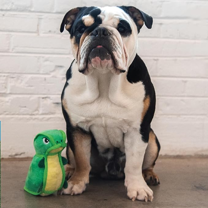 Outward Hound Xtreme Seamz Dino Squeaky Plush Dog Toy - Reinforced Dense Stuffing Plush Toy
