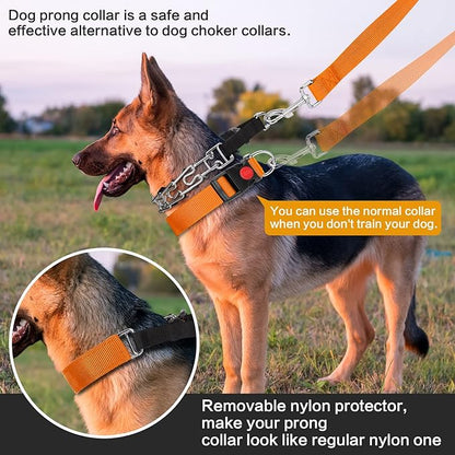Classic Pets Dog Choke Pinch Collar with Nylon Comfort Tips and Quick Release Snap Buckle