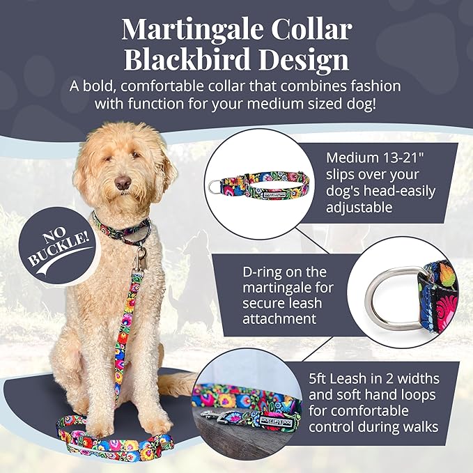 Lucky Love Dog Martingale Dog Collar - Adjustable, No-Slip, Durable, & Soft Webbing Collar for Male and Female Dogs Ideal for Training & Walking - Blackbird, Medium