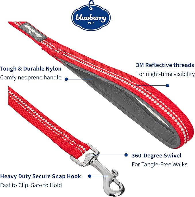 Blueberry Pet 3M Reflective Pastel Color Dog Leash with Soft & Comfortable Handle, 5 ft x 3/4", Red, Medium, Leashes for Dogs