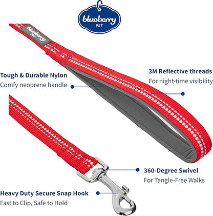 Blueberry Pet 3M Reflective Pastel Color Dog Leash with Soft & Comfortable Handle, 5 ft x 3/4", Red, Medium, Leashes for Dogs