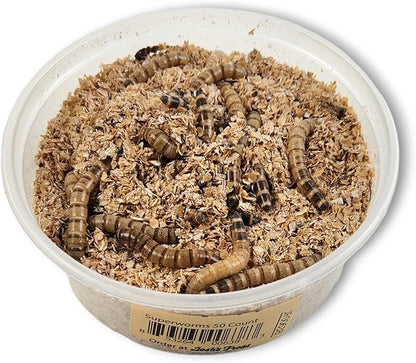 Josh's Frogs Superworms (50 Count)