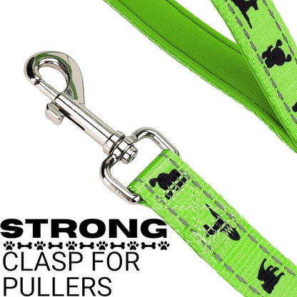 EcoBark Dog Leash - Soft & Reflective Comfort Leashes with Padded Handle - Safe, Strong, & Durable for Small, Medium or Large Dogs (Green)