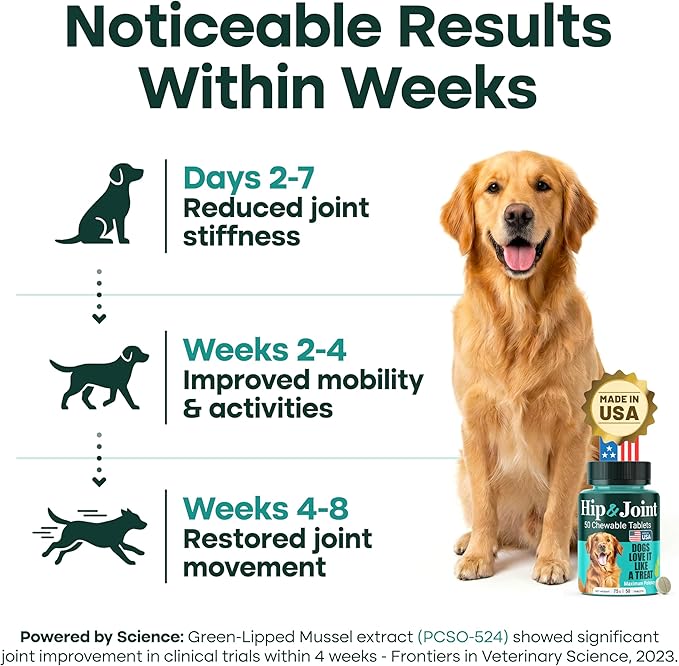 Natureflow Hip & Joint Supplement for Dogs, 300mg Green-Lipped Mussel for Dog Arthritis Pain Relief, Glucosamine, MSM & Chondroitin, Zero Sugar, Large Medium Small Breeds, 200 Chewable Tablets