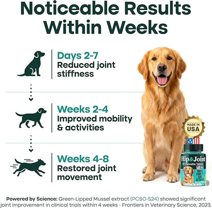 Natureflow Hip & Joint Supplement for Dogs, 300mg Green-Lipped Mussel for Dog Arthritis Pain Relief, Glucosamine, MSM & Chondroitin, Zero Sugar, Large Medium Small Breeds, 100 Chewable Tablets