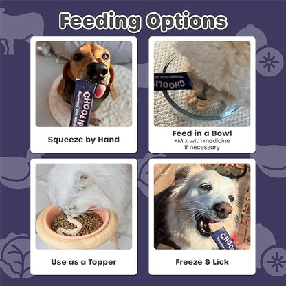 Choolip Squeeze Vita Stick Brain Support Lickable Cat and Dog Treats, 7-Count – Beef and Chicken Soft Puree with DHA, CoQ10 & Vitamin E, Vet-Formulated