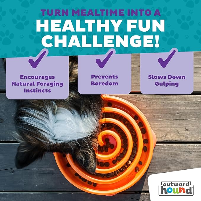 Outward Hound Fun Feeder Slo Bowl – Large 4‑Cup Capacity,Slow Feeding,Medium to Large Dogs,Non‑Slip,Orange,Swirl Pattern,(Pack of 6)