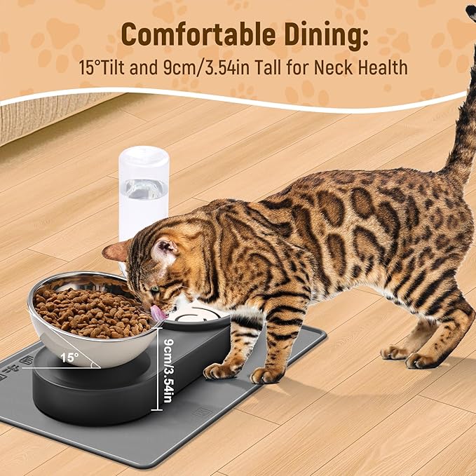 Marchul 2-in-1 Dog Bowl, Elevated Cat Food and Water Bowl with No-Spill Mat, 15° Tilt Stainless Steel Dish + 500ml Leak-Proof Bottle, Easy Clean Design (Dry/Wet Food & Water)