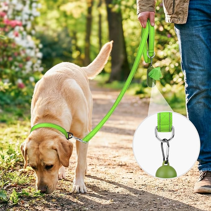 Joytale Dog Leash, 5 FT Double-Sided Reflective, Padded Handle Nylon Heavy Duty Leashes for Small Dogs Walking, Green