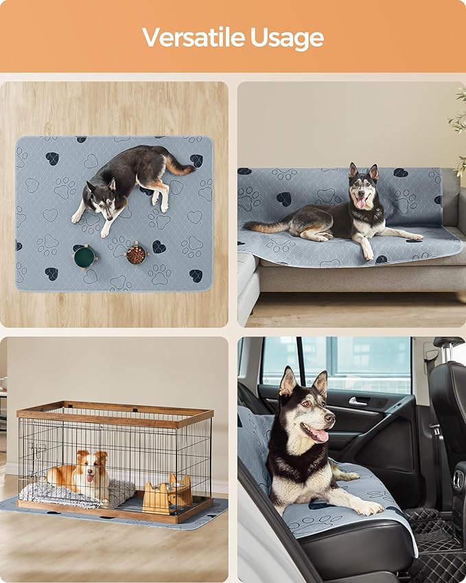 Feandrea Washable Dog Pee Pads, 2 Pack, Reusable Dog Pads, 60 x 48 Inches, XXL, Waterproof Pet Training Pads, Leakproof, Non-Slip, Super Absorbent, Gray UPTD048G01