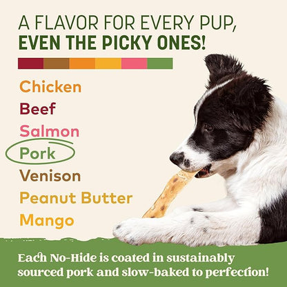 Earth Animal No Hide Strips - Natural Rawhide Free Dog Chew Strips, Pork - 4 Count