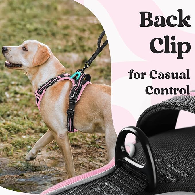 rabbitgoo Dog Harness Small Sized, No Pull Pet Harness with 3 Buckles, Adjustable Soft Padded Vest with Control Handle, Walking Reflective Pet Vest for Small Dogs, Black & Pink, S