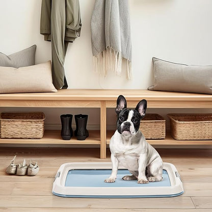 IRIS USA Pee Pad Holder for Dogs and Puppies, Potty Training Tray with Secured Latches, Non-Skid Feet, Leak Protection, Easy Clean Surface, Fits 17"x 23" Puppy Pads Size, Blue